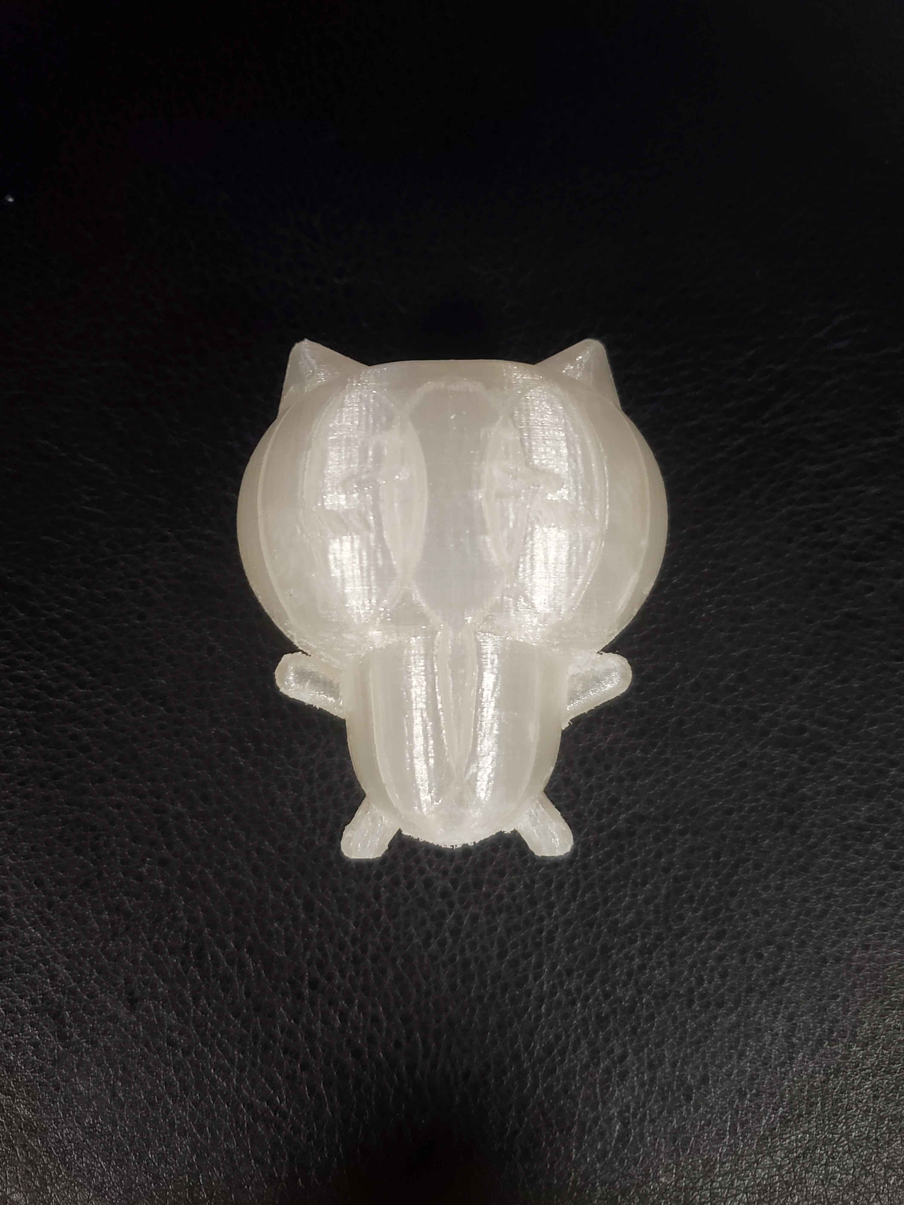 I also used clear filament for this print since it was all that was available at the time. Originally, the ears were very spiky since I wasn't sure how to round the ears in Cinema 4D but I was able to sand the ears down to give them a more round shape after it was done printing.<div class='container'><iframe class='responsive-iframe' src='https://hudak.phoenix.sheridanc.on.ca/P1Stuff/Index.html'></iframe></div>