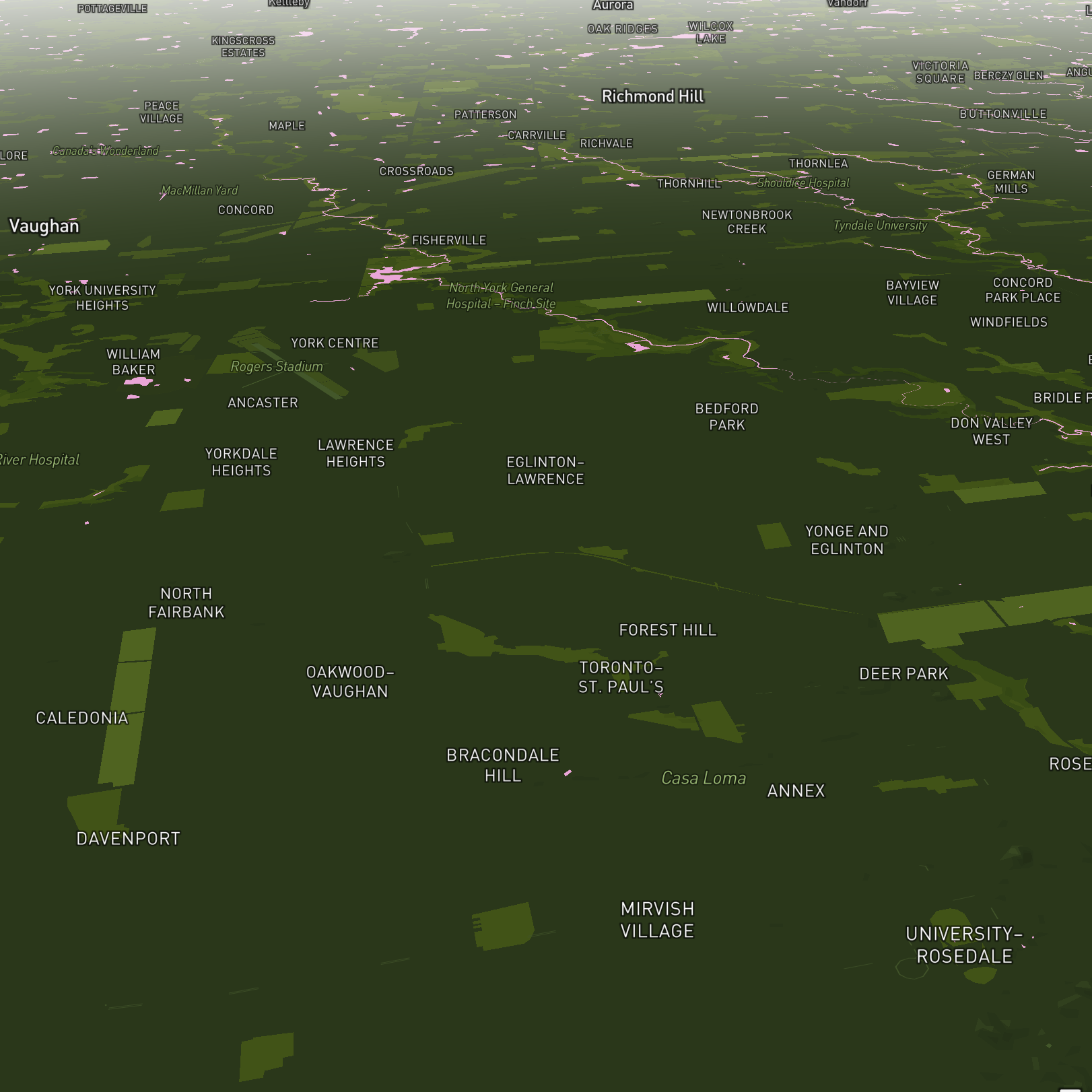 This is my map after my laptop crashed. Everything became flat again, I had roads and road labels turned off but all other labels still turned on. 